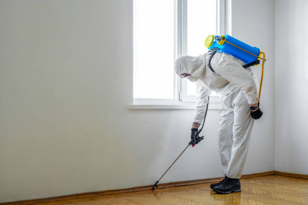 Best Wildlife Control Services  in Westminster, LA
