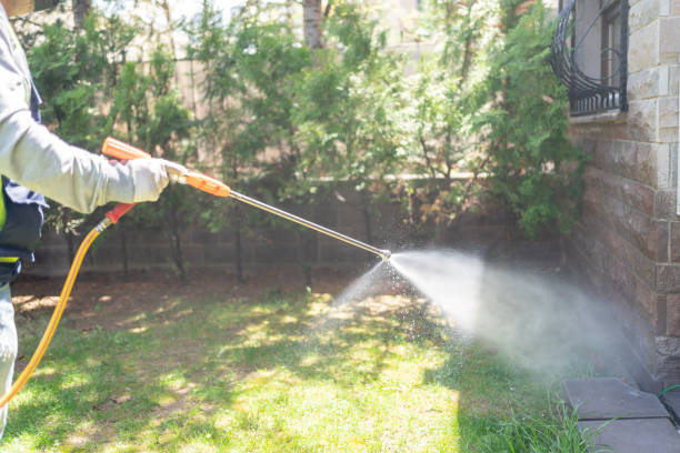 Best Pest Prevention Services  in Westminster, LA