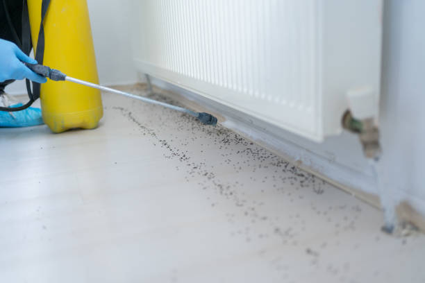 Reliable Westminster, LA Pest Control Solutions